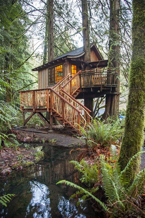 Find Adventure in a Waterfront Treehouse in a Magical Forest